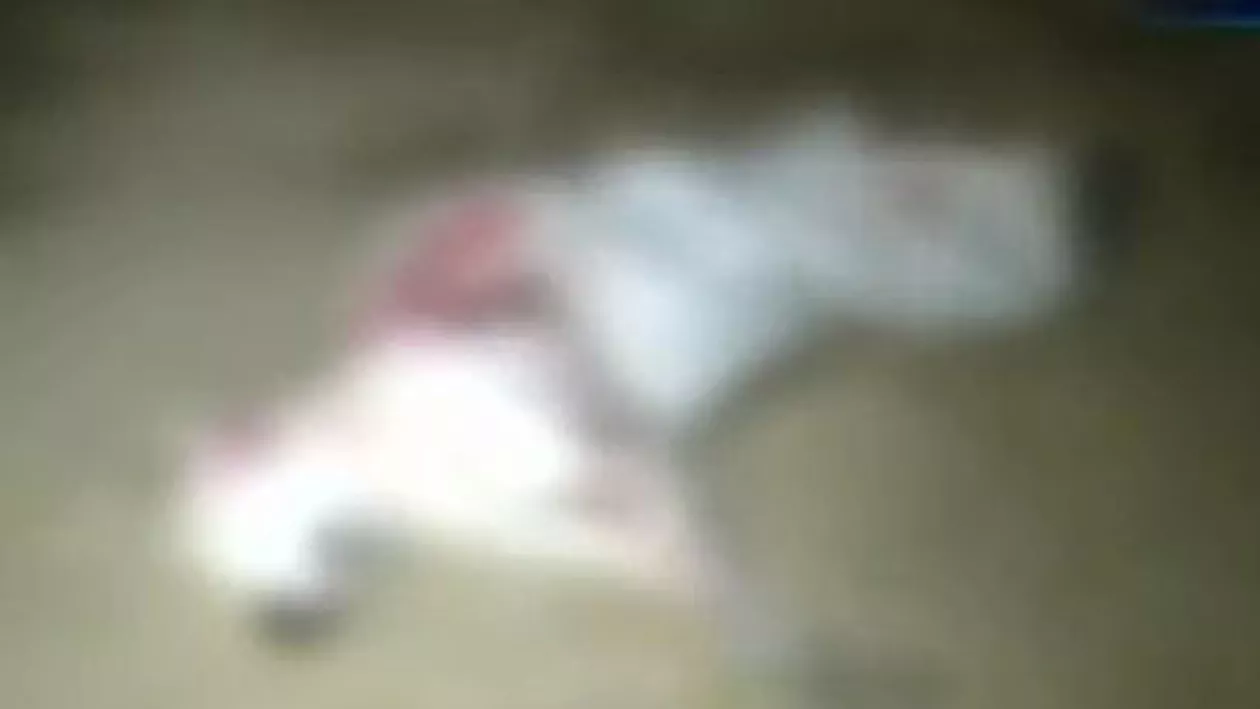București: Câine de rasă, împușcat de un vânător în fața stăpânei (VIDEO)
