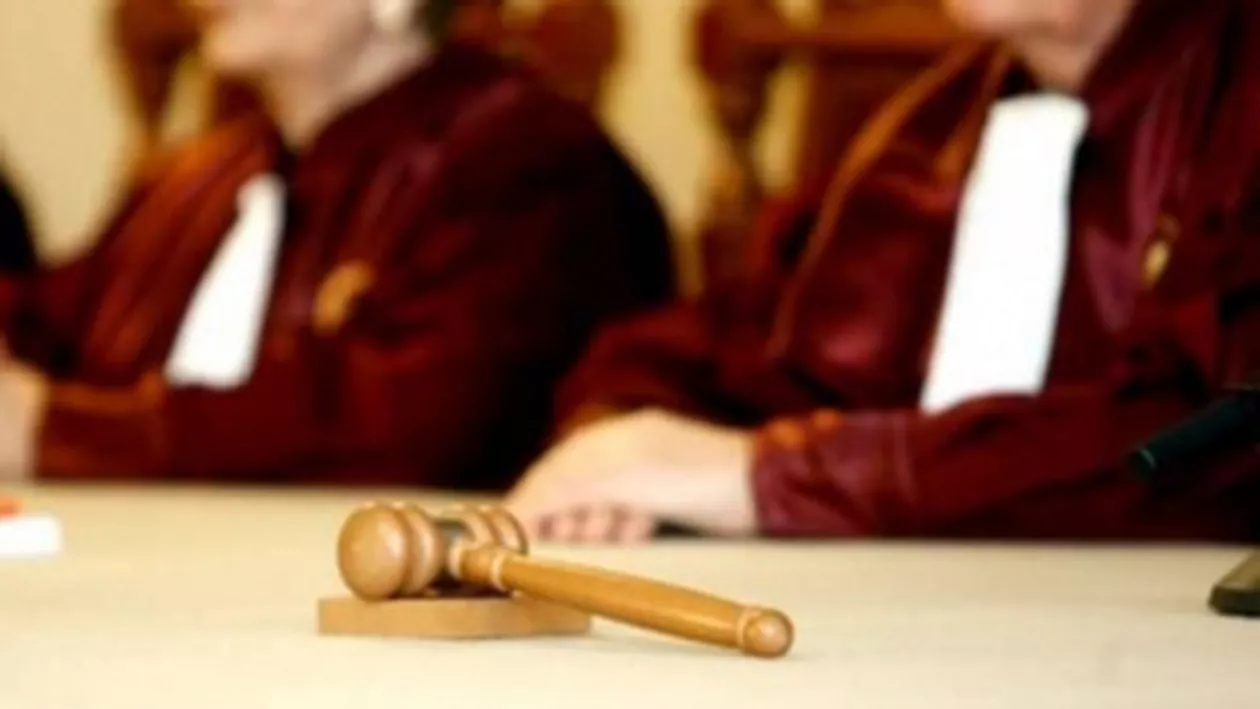 Curtea Constituțională va discuta pe 25 septembrie cele 30 de contestații aduse la legea maidanezilor