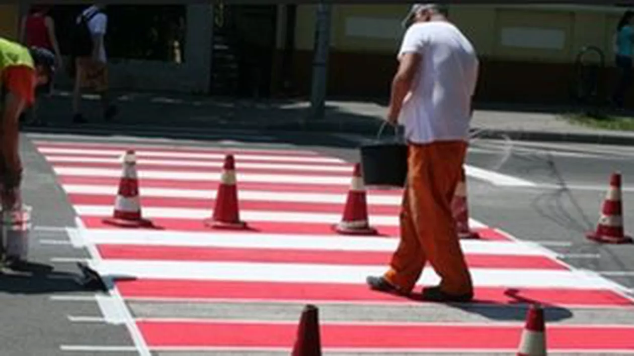 Proiect: Primarul Timișoarei vrea colorarea unor treceri de pietoni cu roșu sau violet