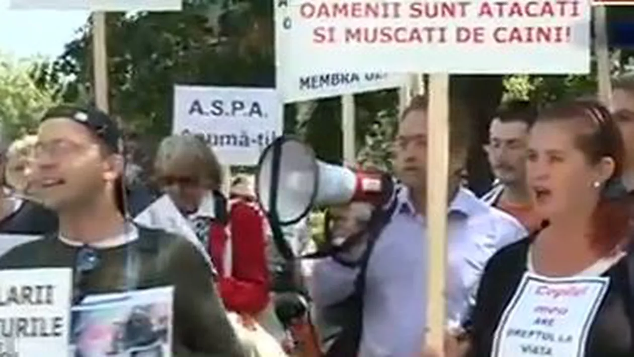 Protest împotriva maidanezilor, în Piața Unirii din Capitală (VIDEO)