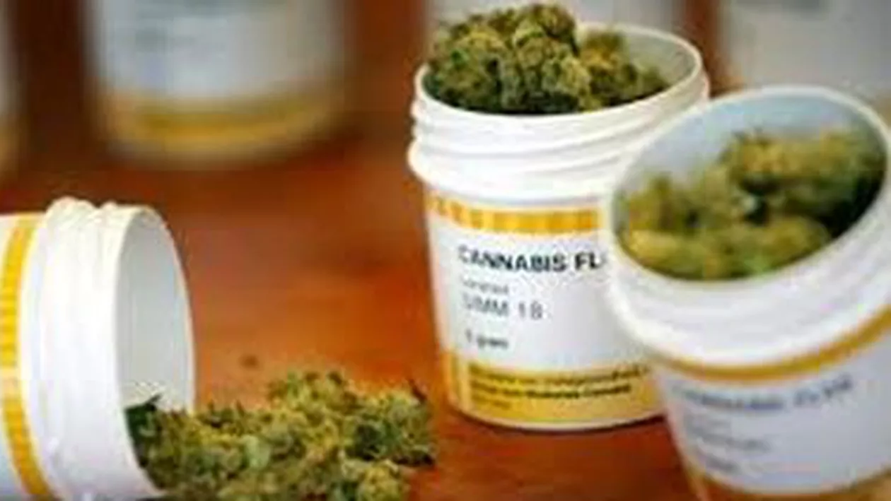 ANM: Nu avem nicio cerere privind canabisul medicinal. Dacă ar fi, am aproba-o
