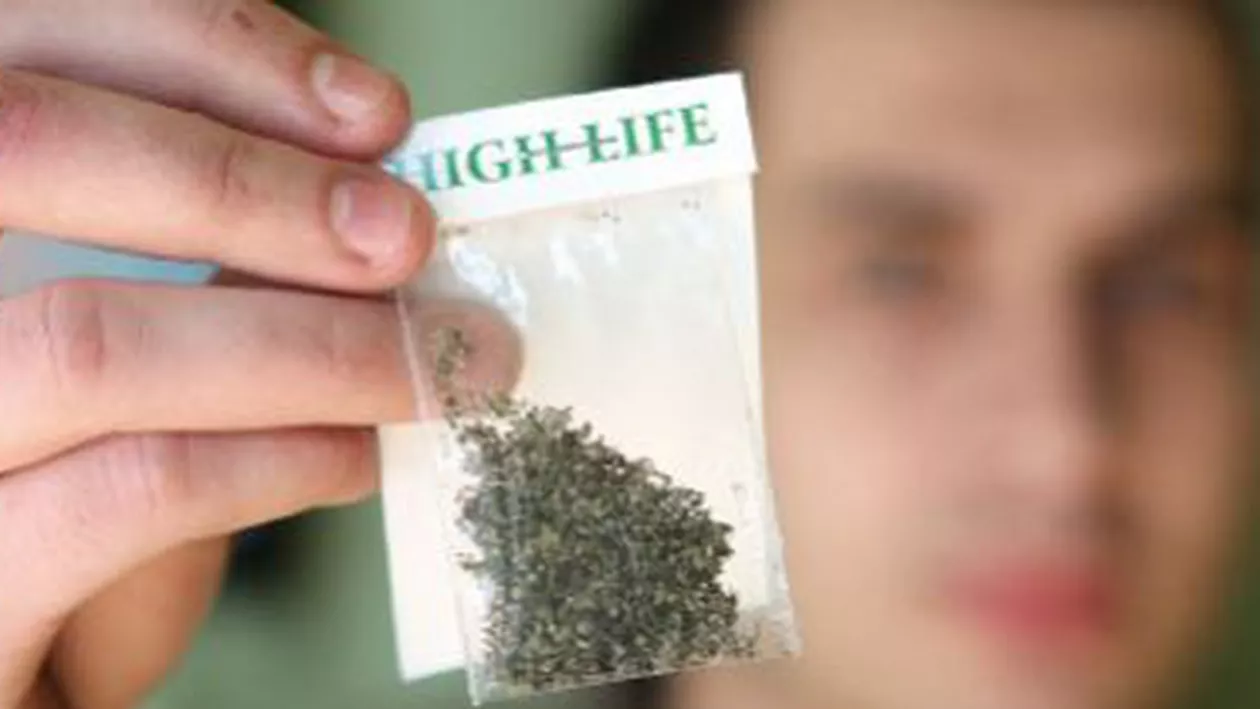 Târgu Mureș: Trei persoane au fost arestate pentru că au vândut etnobotanice