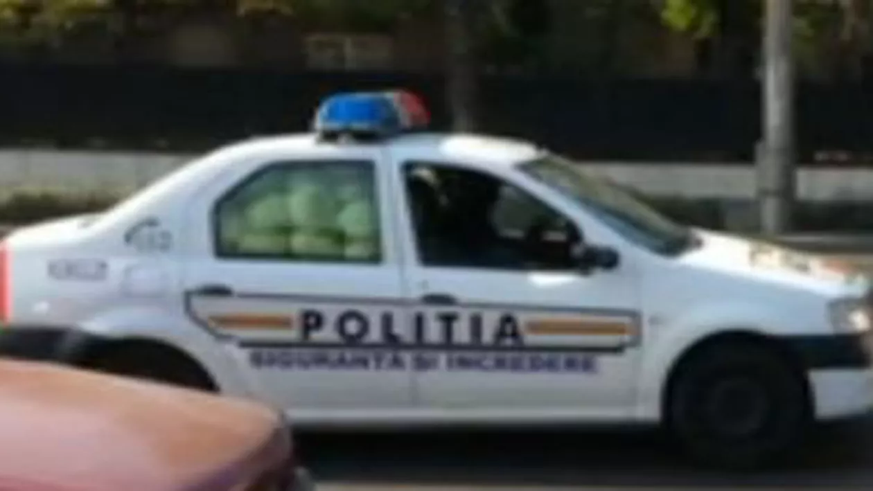 București: Două mașini de poliție, surprinse în trafic transportând zeci de kilograme de varză
