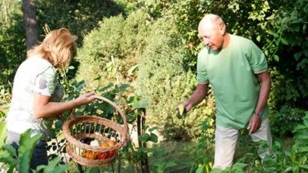 Președintele Băsescu a postat pe Facebook poze cu legumele cultivate de el: ”Îmi rezerv dreptul de a fi un mic horticultor” (FOTO)