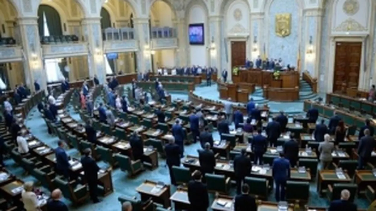 Senatul înfiinţează o subcomisie de anchetă privind creditul primit de Ioana Băsescu de la CEC Bank