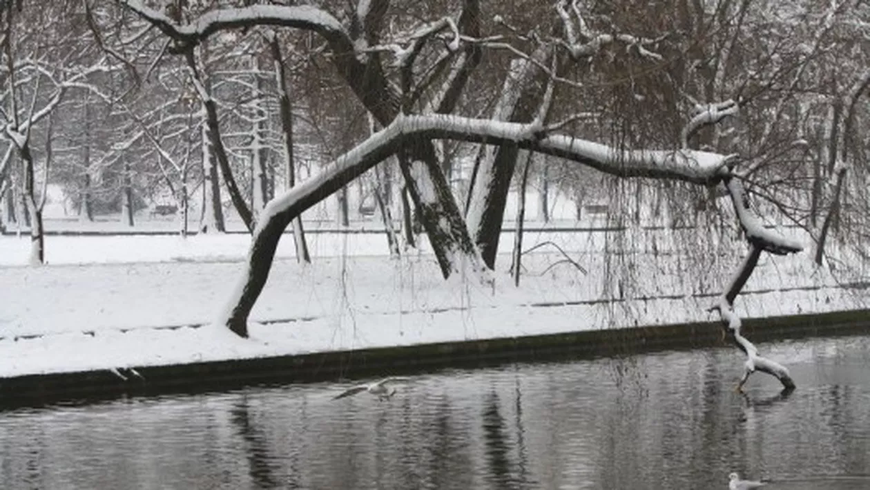 București: Un bărbat a fost găsit spânzurat în parcul IOR