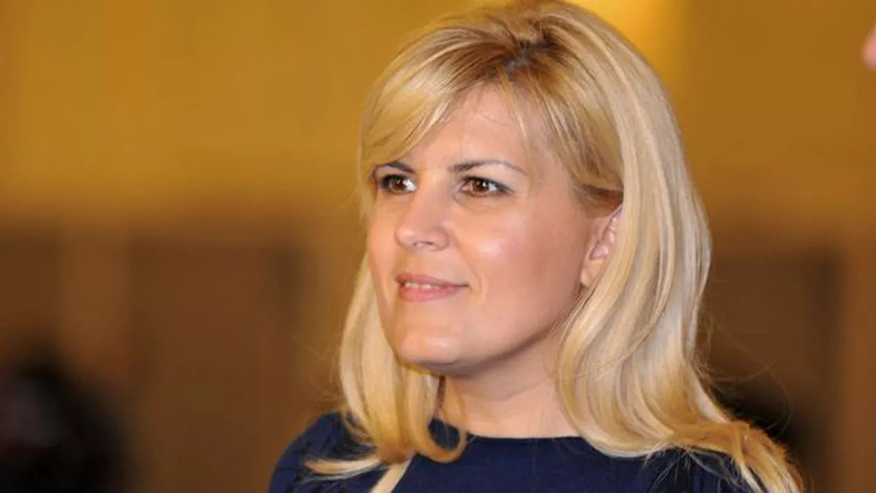 Elena Udrea vrea să cumpere 80 de hectare de teren arabil