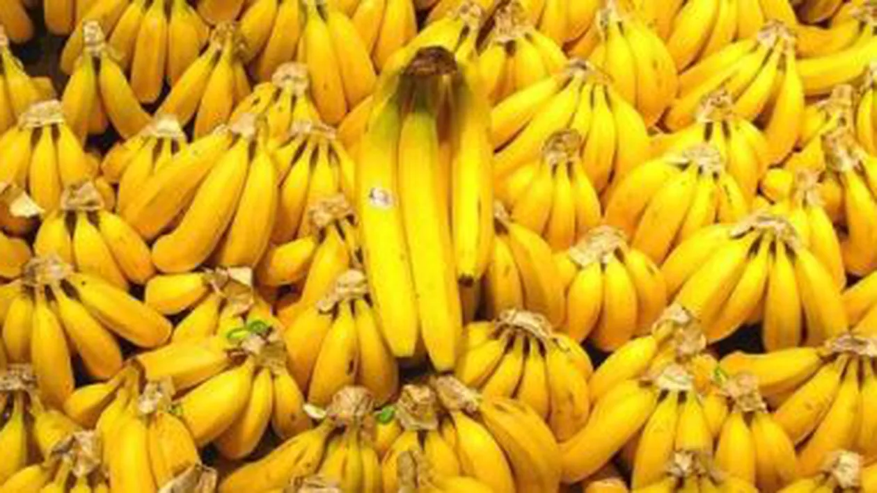 Aproximativ 20 de tone de banane, confiscate de polițiști, la intrarea în țară