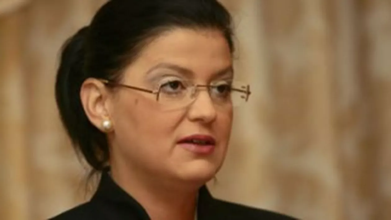 Boagiu: PDL va contesta bugetul la CC dacă va găsi motive suficient de bine întemeiate