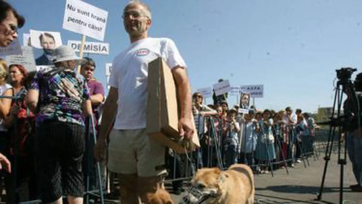 Protest la Guvern, față de tergiversarea legii maidanezilor