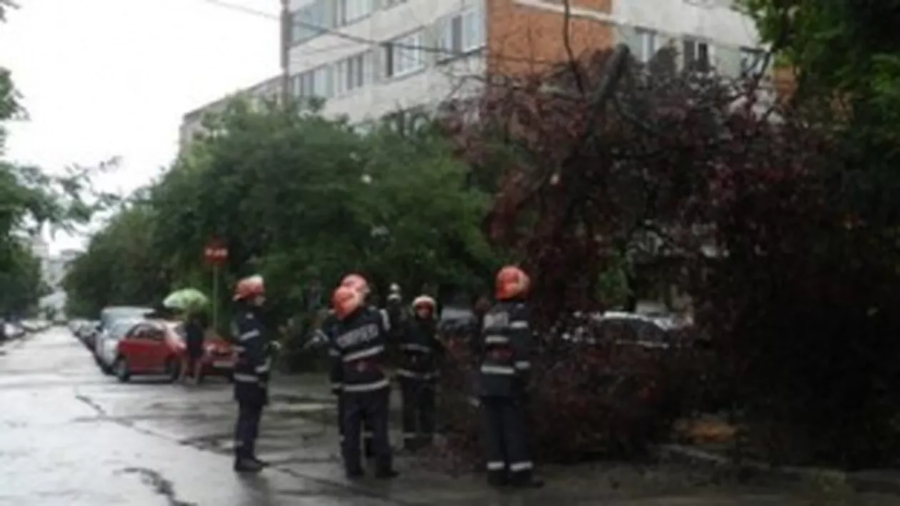 Un copac doborât de vânt a căzut peste un autoturism, în Sectorul 1 al Capitalei