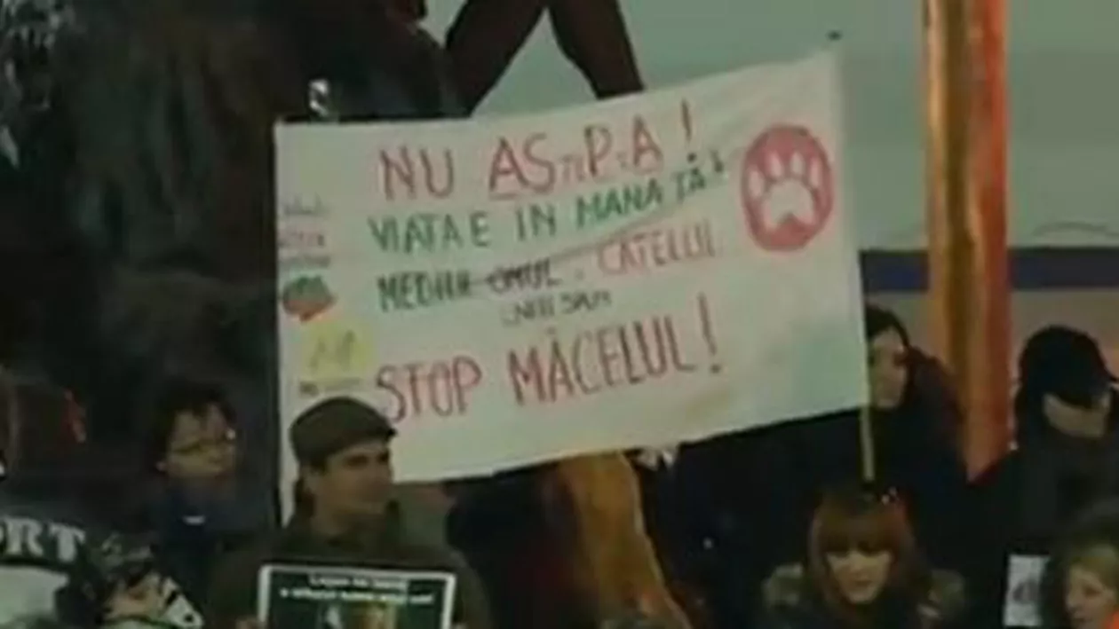 Protest cu îmbrânceli în București: Sute de persoane au manifestat în solidaritate cu localnici din Pungești (VIDEO)