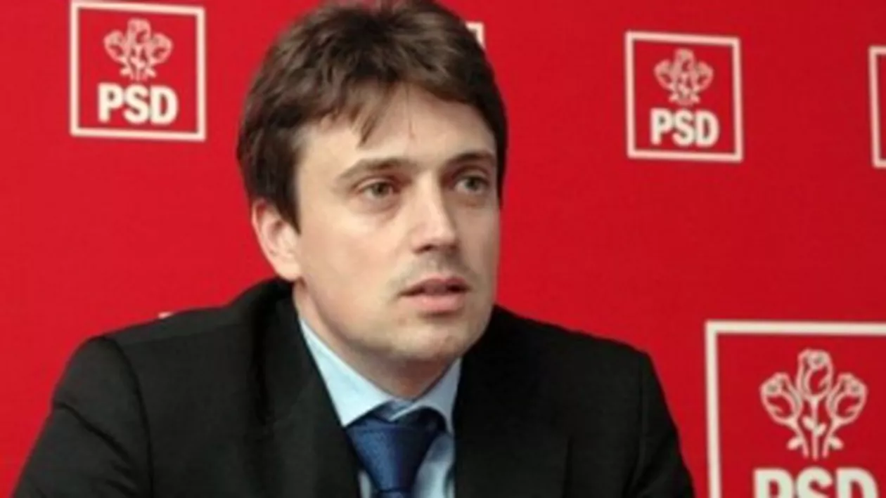 Cătălin Ivan: Referendumul pe Constituție va fi organizat probabil în prima parte a anului 2015