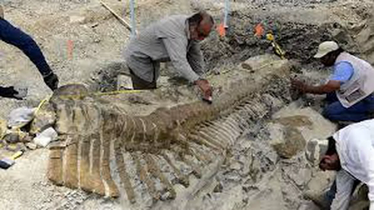 Două specii de dinozauri au fost descoperite în Peninsula Arabică