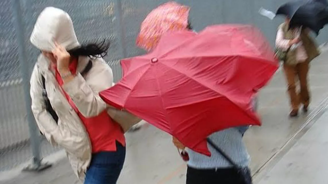 Cod galben de vânt puternic în cinci judeţe din Transilvania