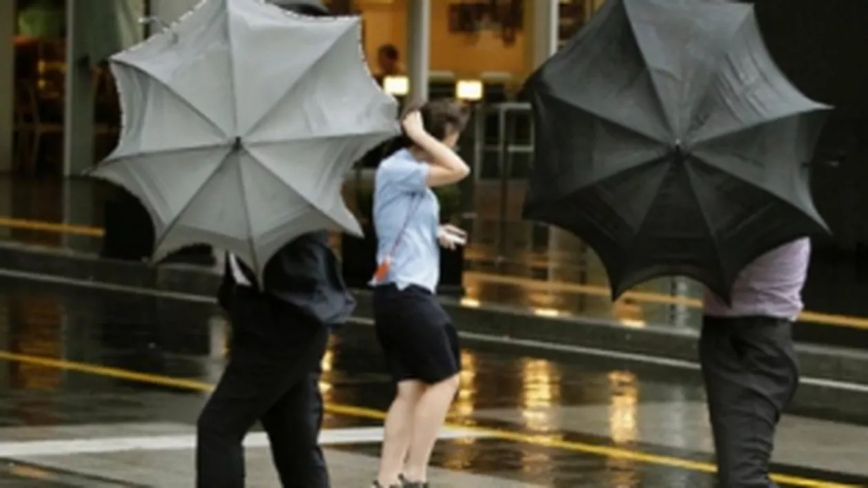 ANM: Cod galben de vijelii în Brașov