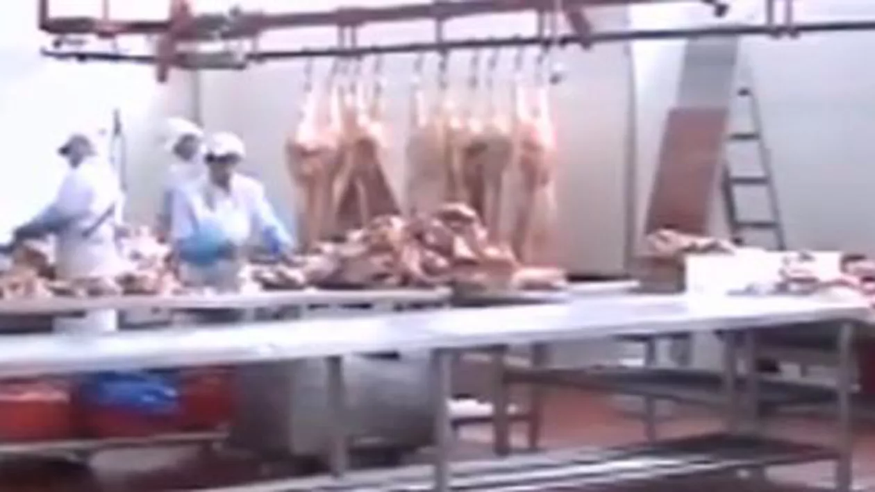 Depozit ilegal de carne, descoperit în București: Peste 3 tone de carne de pui fără acte, livrată către fast-food-uri