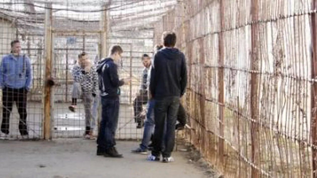 Pitești: Un deținut de la Penitenciarul Colibași a încercat să își ia viața în baia camerei de detenție