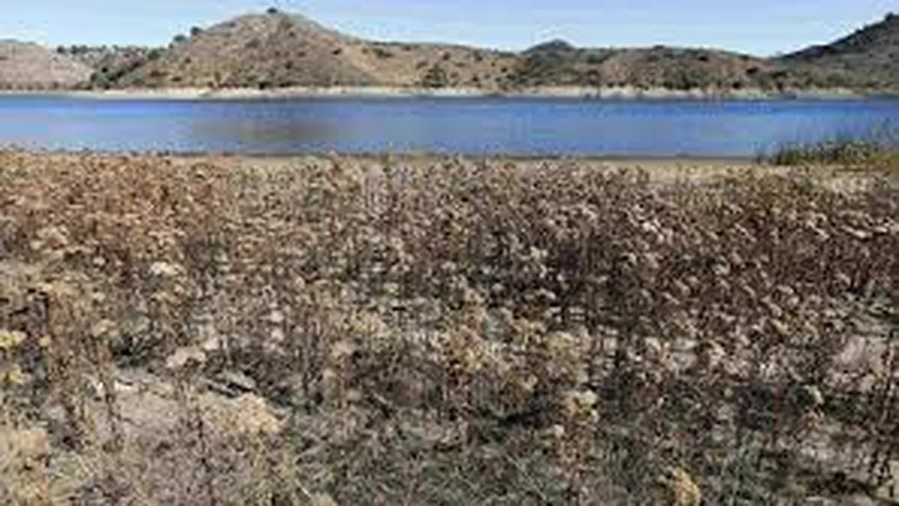 Guvernatorul Californiei decretează situaţie de urgenţă din cauza secetei