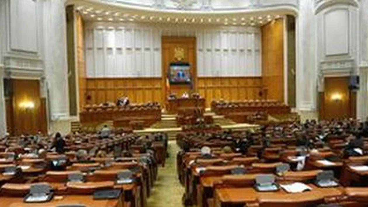 Liberalii au cerut amânarea discutării proiectului privind STS până la numirea unui nou ministru de Interne