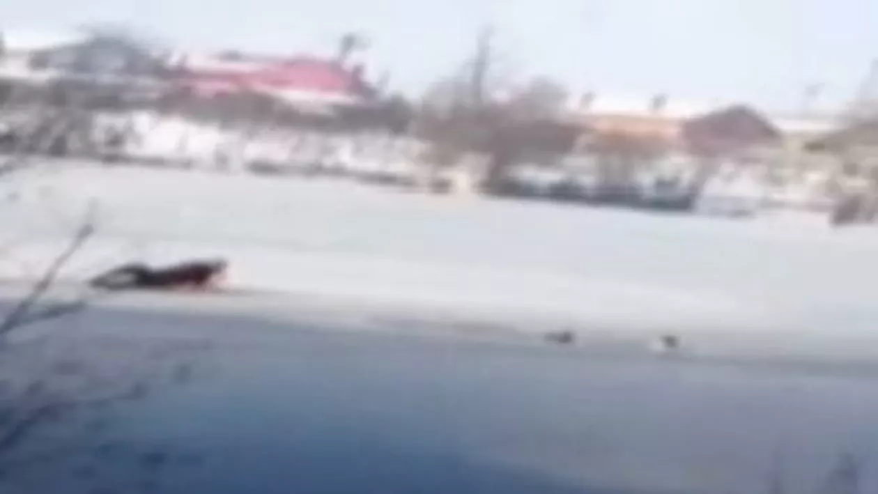 Filiași: Doi jandarmi curajoși au salvat de la înec doi copii căzuți într-un lac înghețat (VIDEO)