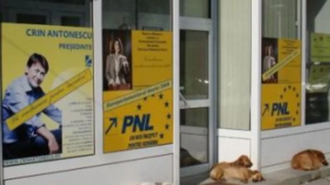 Liderii PNL, în ședință la sediul partidului, în urma eșecului negocierilor din USL