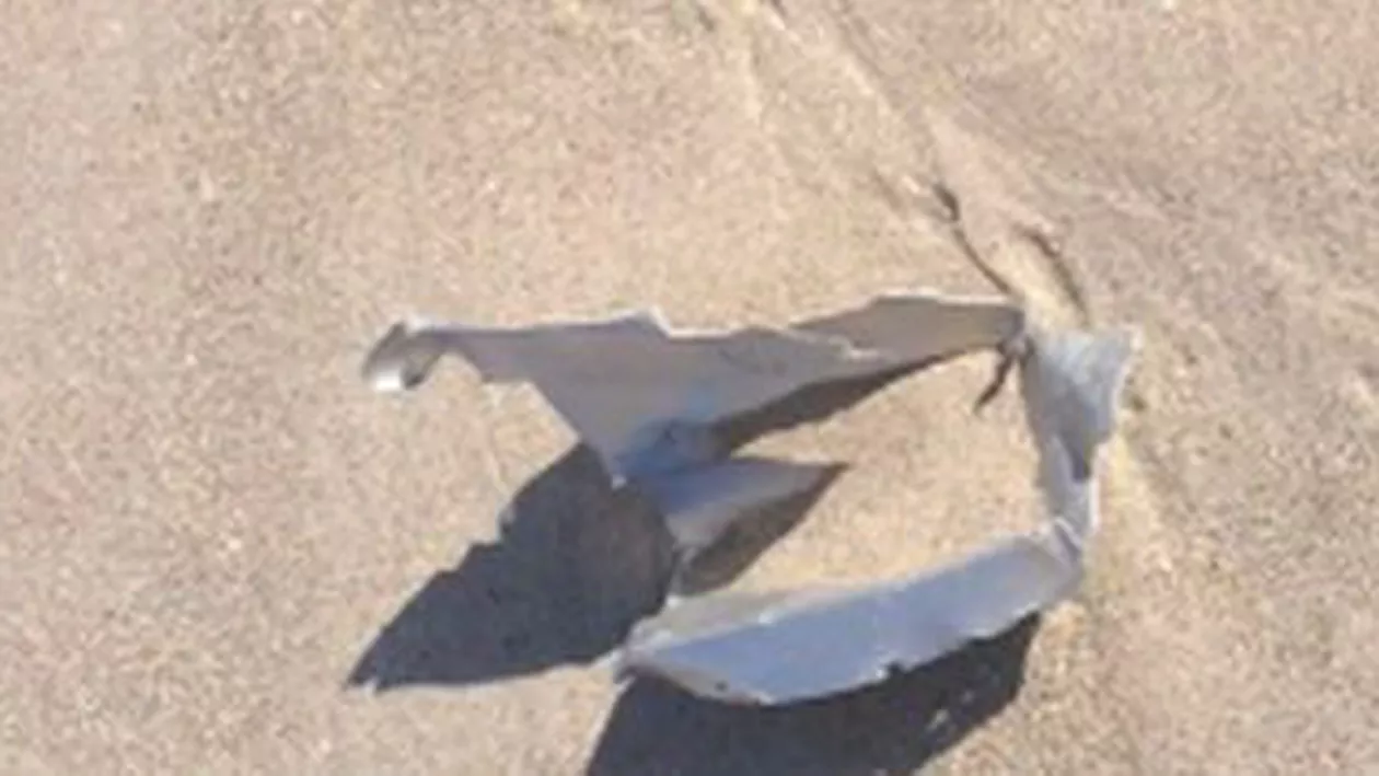 Fragmente mici ale avionului pilotat de Postelnicu, găsite de echipele de căutare