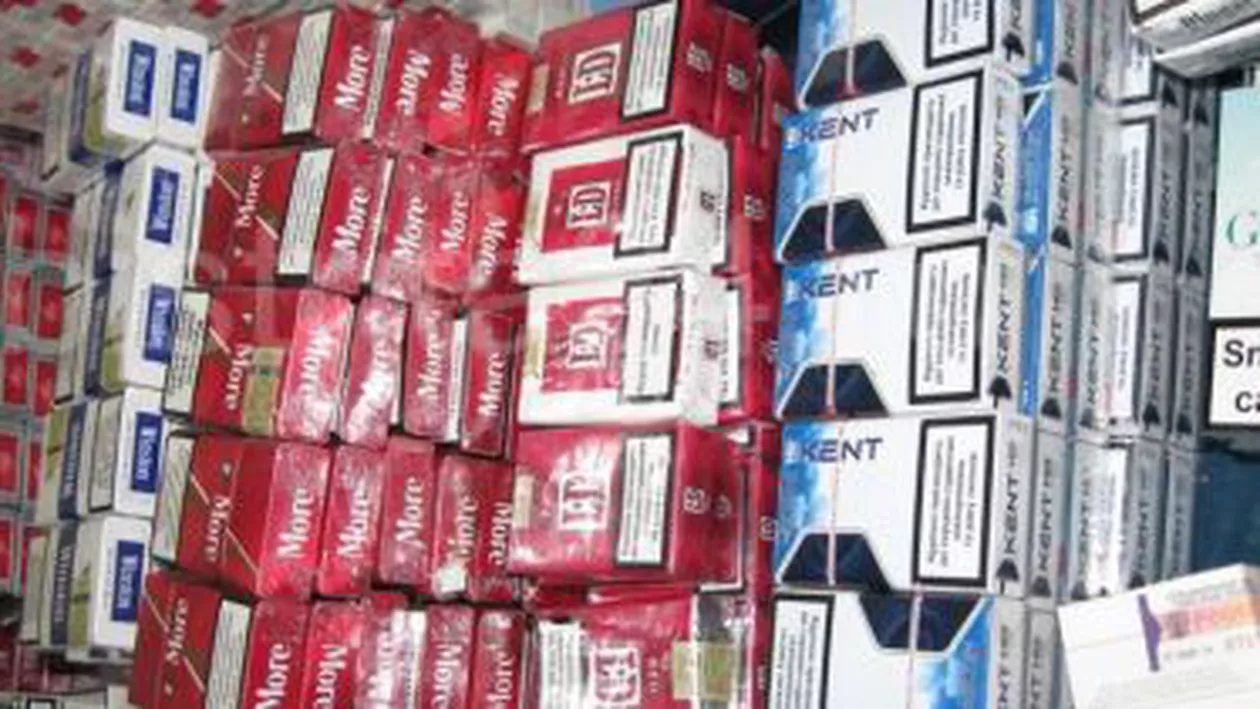 Percheziții în Constanța: Aproximativ 7,5 milioane țigări de contrabandă au fost confiscate