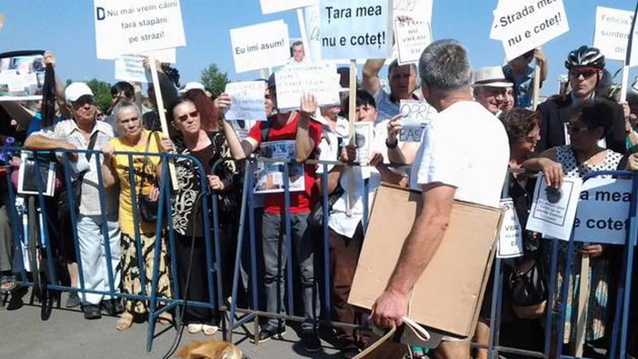 Cluj: Peste 150 de persoane protestează faţă de eutanasierea câinilor fără stăpân