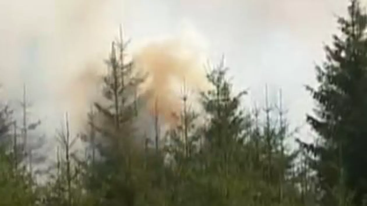 Incendiu puternic într-o pădure din Bacău: O persoană a fost rănită