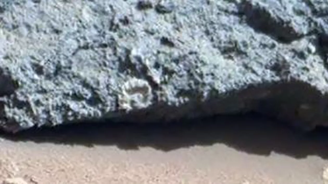 Dovezi ale vieții pe Planeta Marte, descoperite de roverul Curiosity al NASA