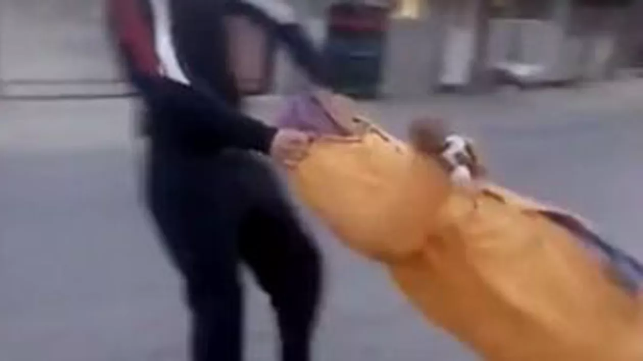 Tânăr din Jilava, în atenția poliției după ce a agresat o bătrână învârtind-o de guler ca pe o elice (VIDEO)