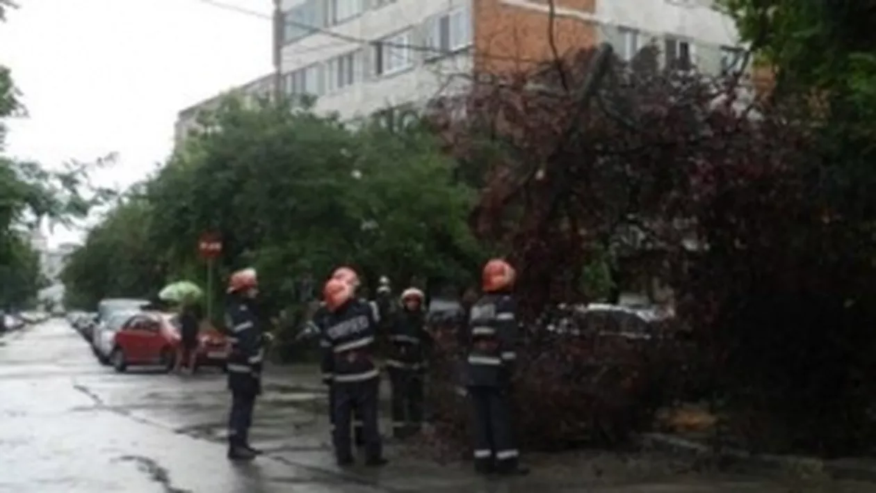 Mai mulți copaci doborâți de vânt au căzut pe mașini, în București