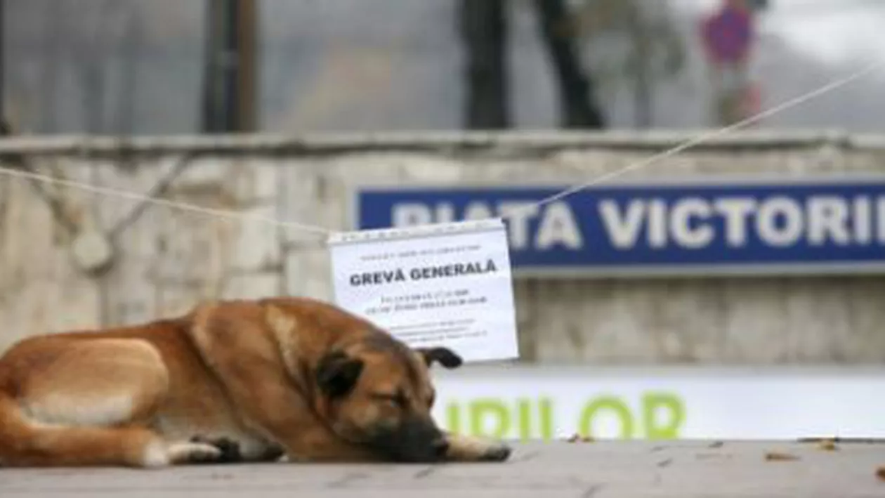 Sindicaliștii de la metrou amenință cu greva, fiind nemulțumiți de faptul că Metrorex va trece în subordinea Primăriei Capitalei