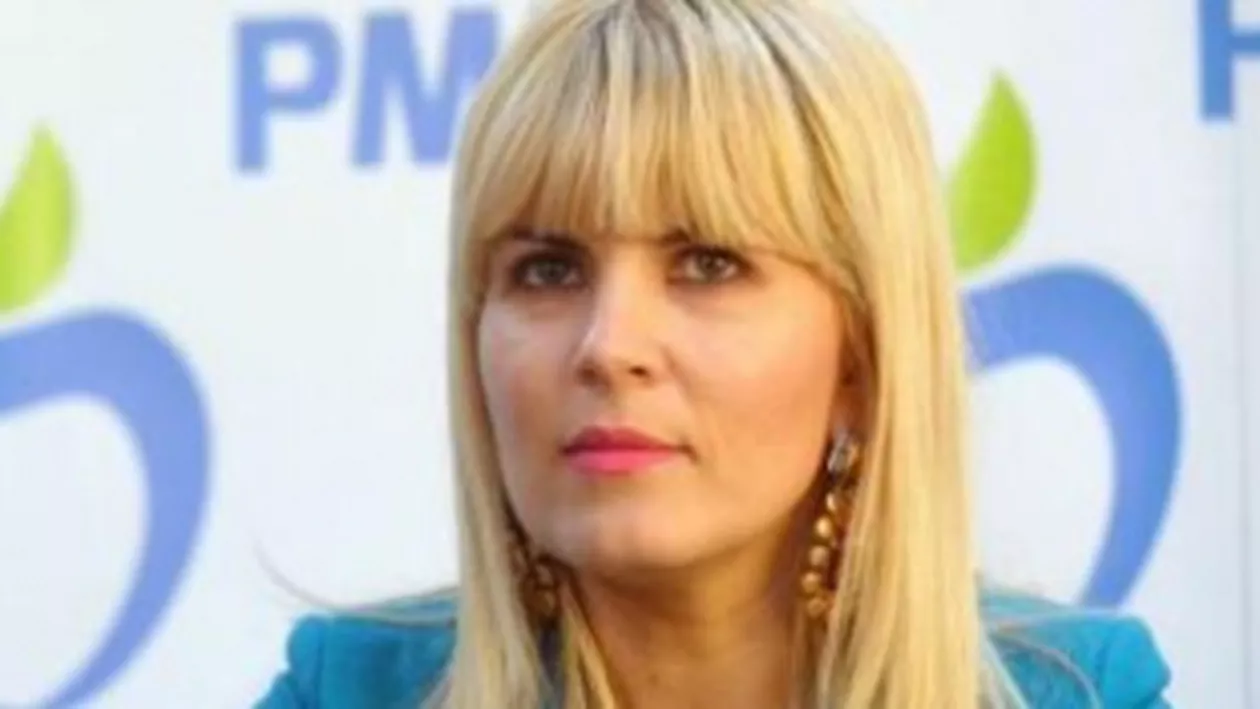 Udrea, despre moţiunea de cenzură anunţată de PNL: PMP va susţine o moţiune, indiferent cine o propune