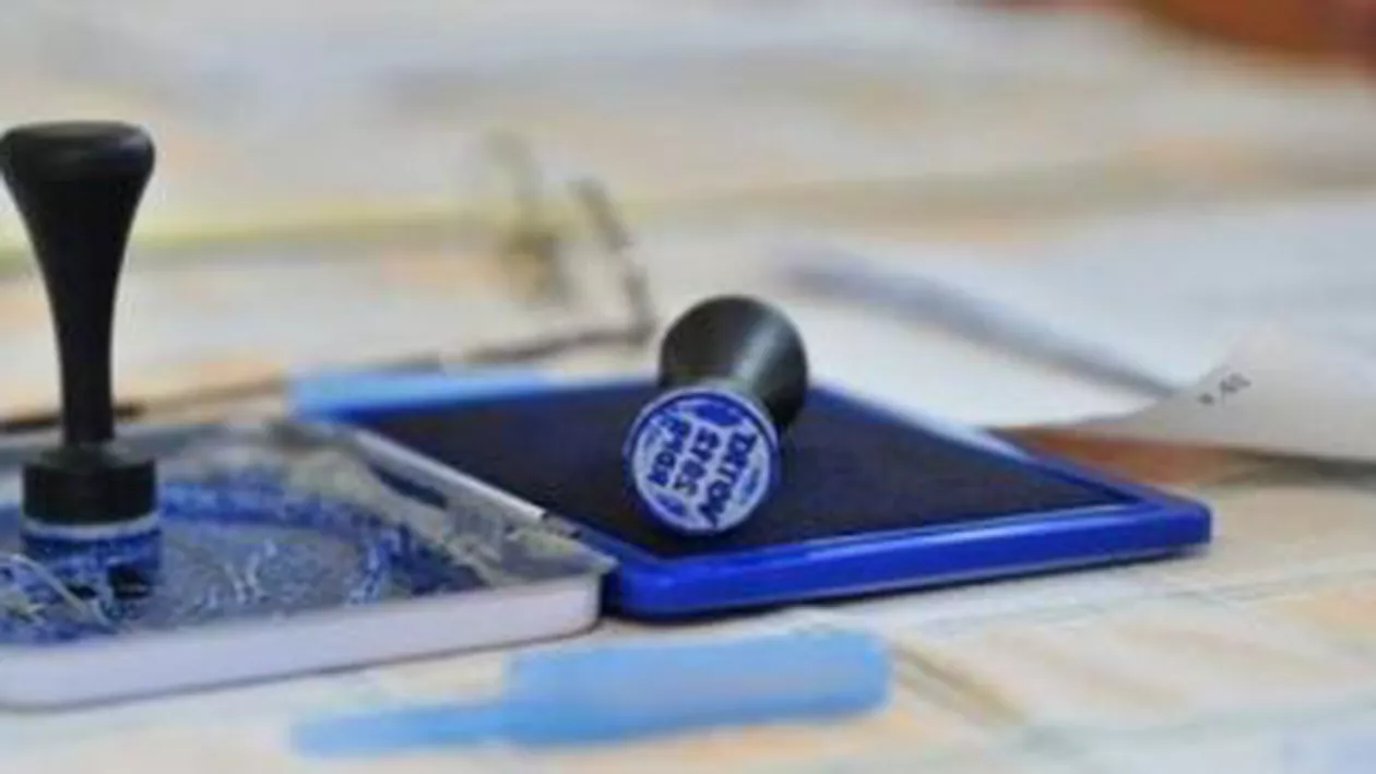 Alegeri parlamentare parțiale, organizate duminică în cinci județe și municipiul București