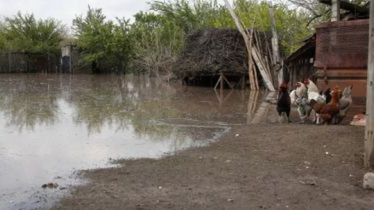 Mai multe curți și beciuri din Dâmbovița au fost inundate în urma unei ploi torențiale