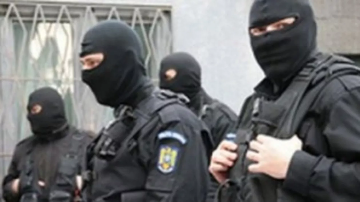 Percheziții în București, Ilfov, Călărași și Giurgiu la o grupare care a introdus ilegal în țară 29 tone de tutun