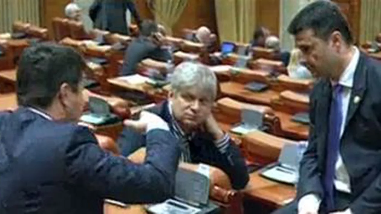 Legea amnistiei, miza posibilei alianțe dintre PSD și PPDD