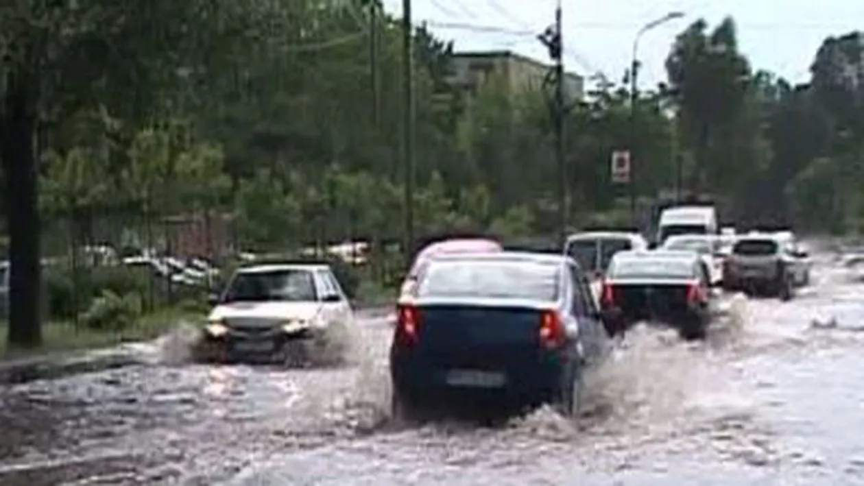 Pagubă după furtună în Târgoviște: Mai multe străzi inundate, copaci doborâți de vânt și mașini avariate