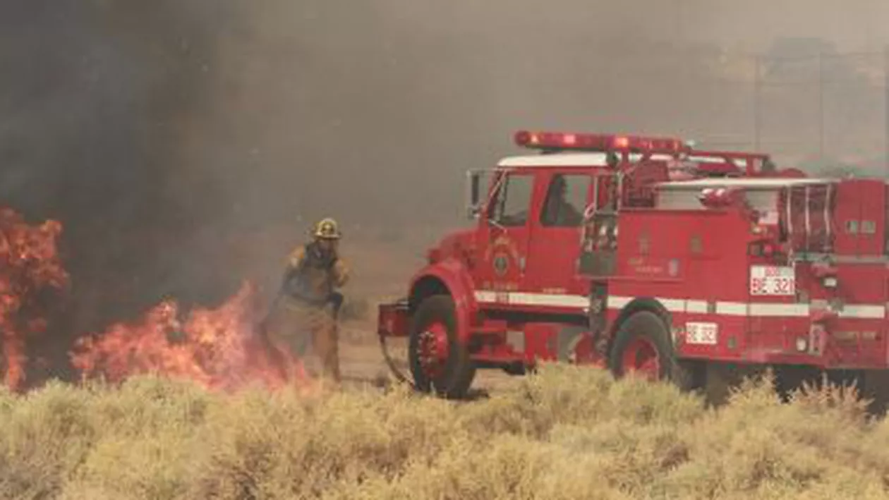 Aproximativ 500 de locuințe au fost evacuate în sudul Californiei din cauza incendiilor de vegetație