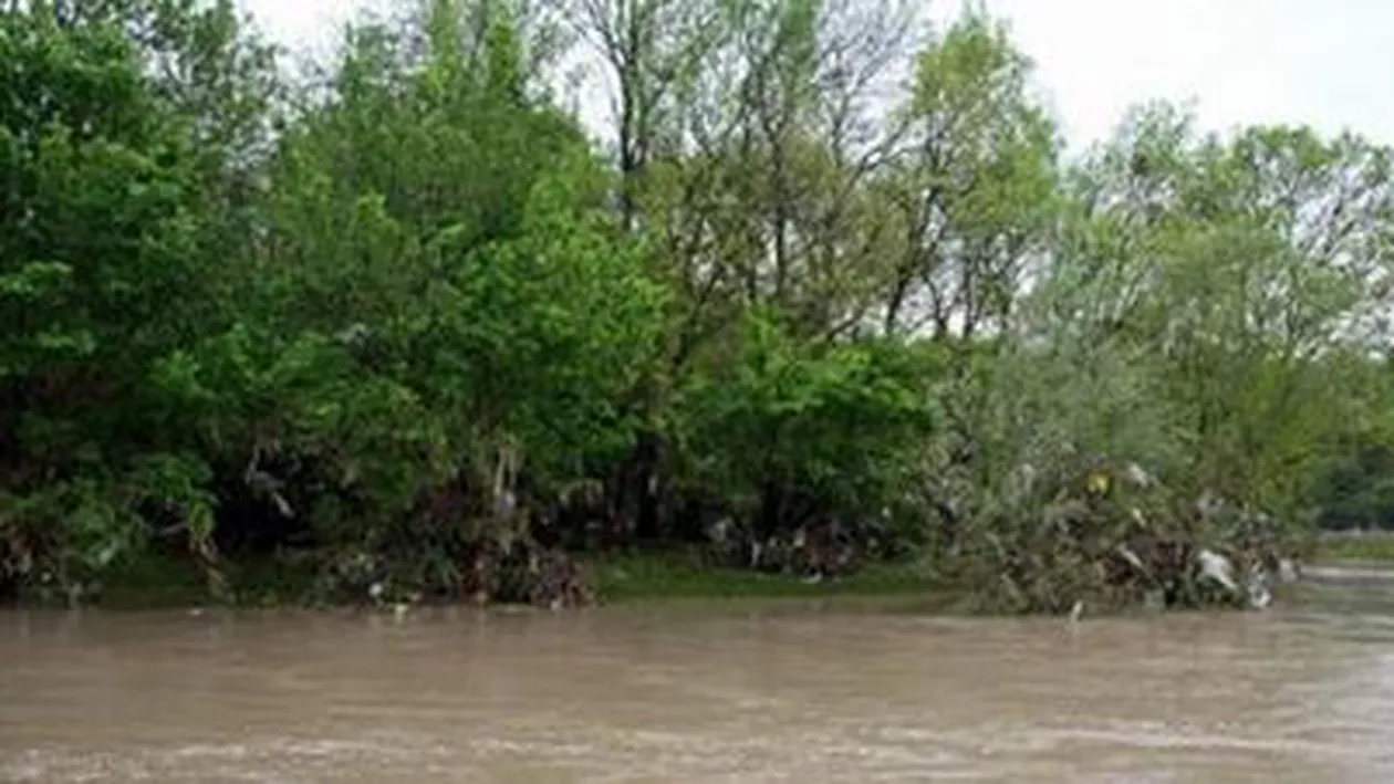 Cod galben de inundații pentru bazinele hidrografice Bega, Timiș, Bârzava, Caraș, Nera, Cerna, Jiu