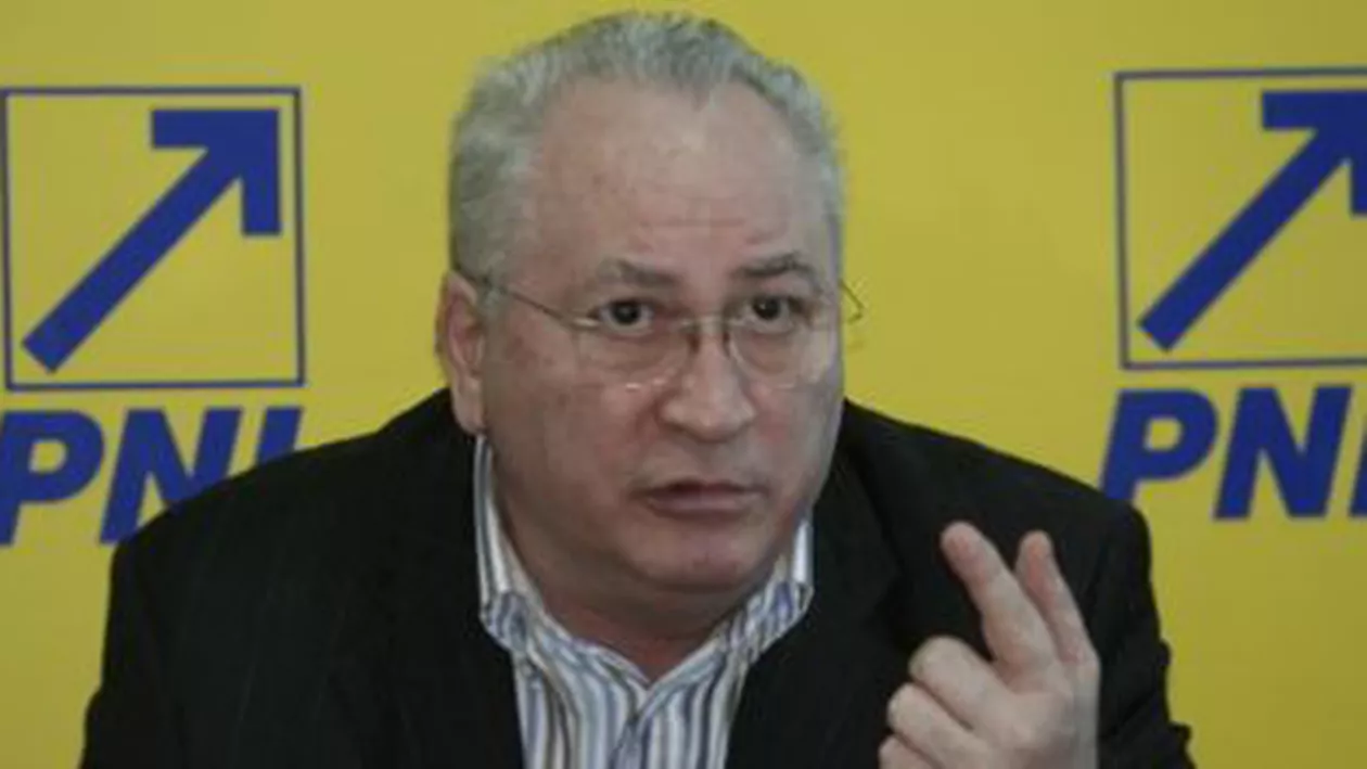 Puiu Hașotti: PNL va propune Camerelor reunite o declarație prin care să fie cerută atât demisia președintelui Băsescu, cât și cea a premierului Ponta