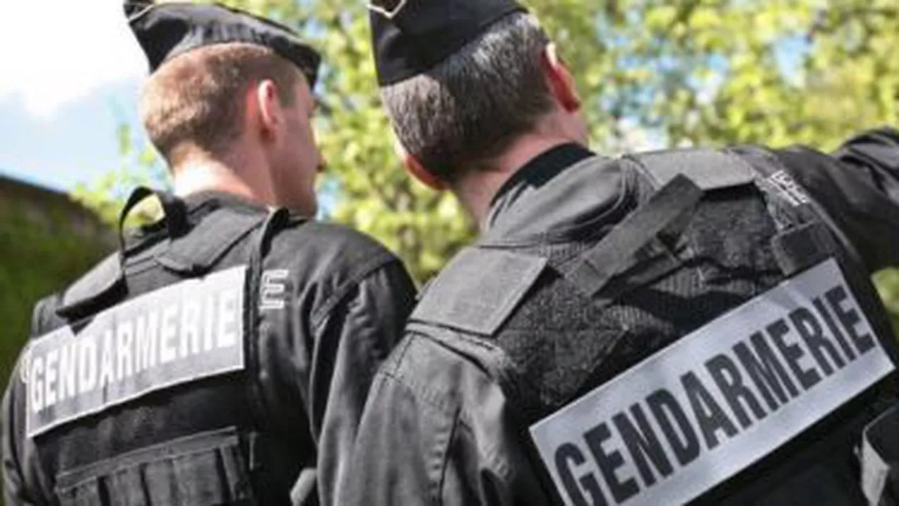 Franța: Aproximativ 20 de persoane, reținute pentru trafic cu motoare de ambarcațiuni furate. Sunt vizați moldoveni