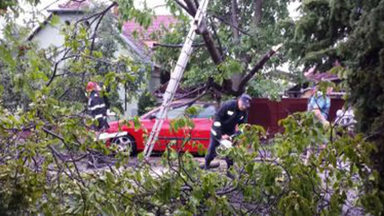 Arad: Mai multe străzi și imobile au fost inundate, iar copaci rupți au căzut peste mașini, în urma unei furtuni