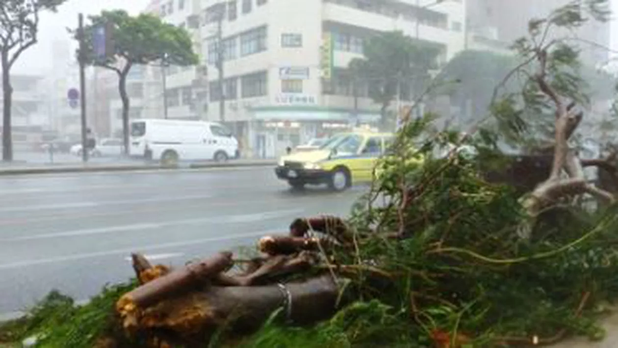 Japonia: Taifunul Neoguri a fost retrogradat la rang de depresiune tropicală
