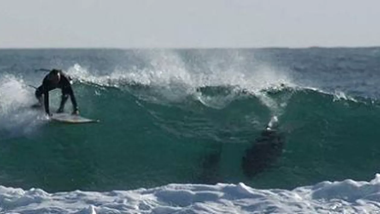 Spaniolii au redeschis șase plaje din apropiere de Barcelona, închise cu o zi înainte din cauza rechinilor