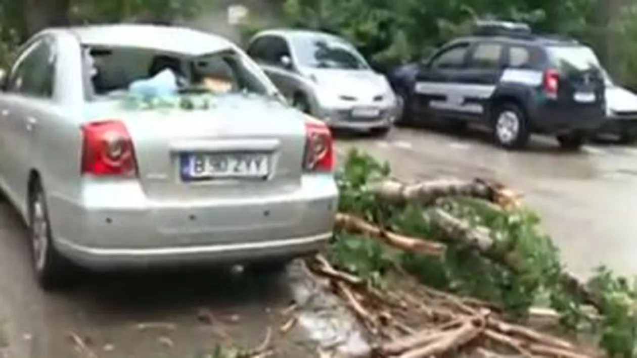 Mai mulți copaci au fost doborâți de furtună, în Capitală