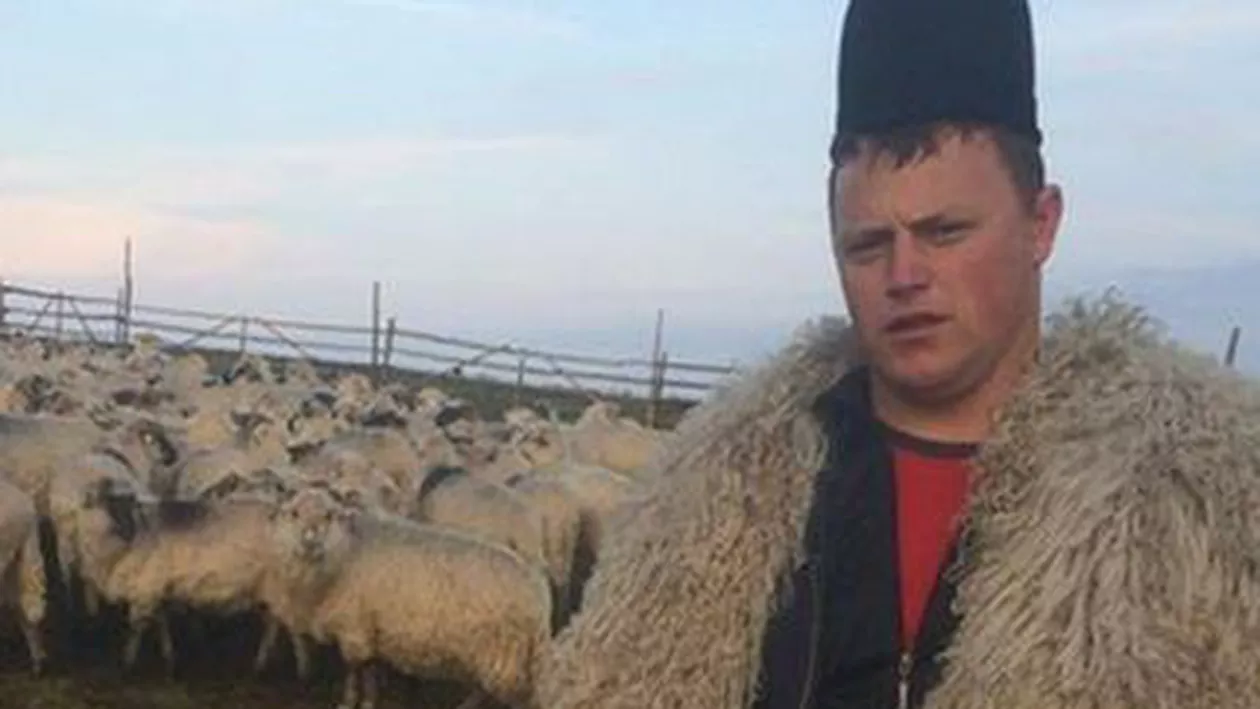 Stâna lui Ghiță Ciobanul din Sibiu, prădată de un urs care a omorât patru oi