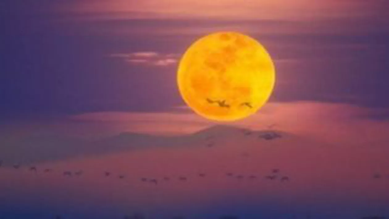 Super luna va putea fi observată cel mai bine duminică noapte, când se va afla cel mai aproape de Terra
